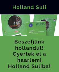 Holland Suli Haarlemben